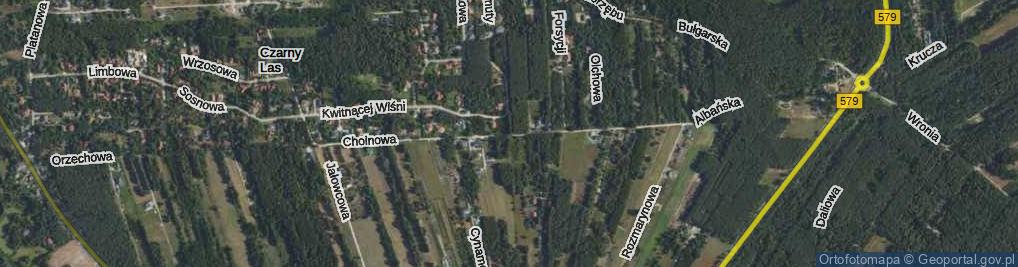 Zdjęcie satelitarne Choinowa ul.